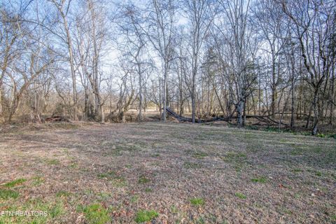 Tiny photo for 259 Sherman Rd, Ten Mile, TN 37880 (MLS # 1331161)