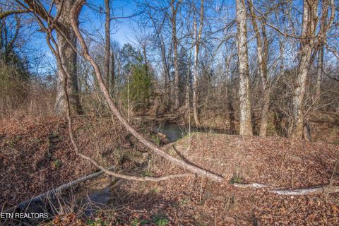 Tiny photo for 259 Sherman Rd, Ten Mile, TN 37880 (MLS # 1331161)
