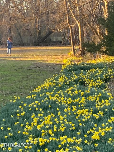 Tiny photo for 259 Sherman Rd, Ten Mile, TN 37880 (MLS # 1331161)