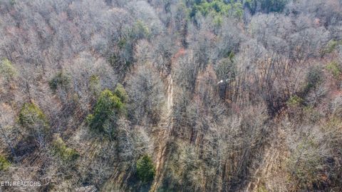 Tiny photo for 259 Sherman Rd, Ten Mile, TN 37880 (MLS # 1331161)