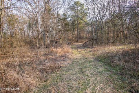Tiny photo for 259 Sherman Rd, Ten Mile, TN 37880 (MLS # 1331161)