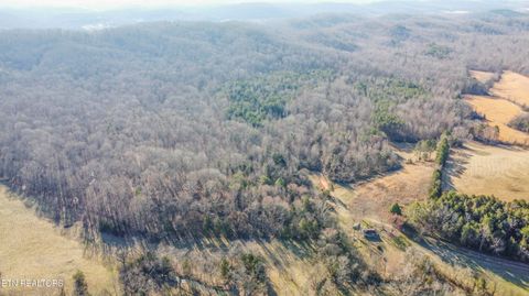 Tiny photo for 259 Sherman Rd, Ten Mile, TN 37880 (MLS # 1331161)