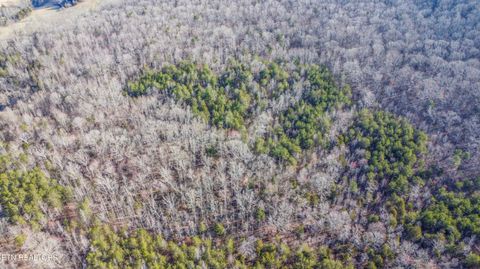 Tiny photo for 259 Sherman Rd, Ten Mile, TN 37880 (MLS # 1331161)