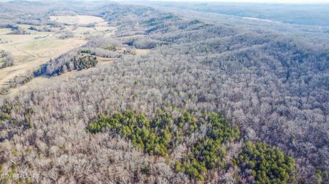 Tiny photo for 259 Sherman Rd, Ten Mile, TN 37880 (MLS # 1331161)
