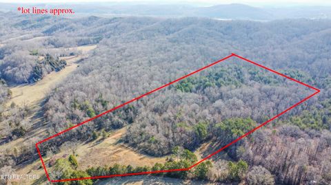 Tiny photo for 259 Sherman Rd, Ten Mile, TN 37880 (MLS # 1331161)