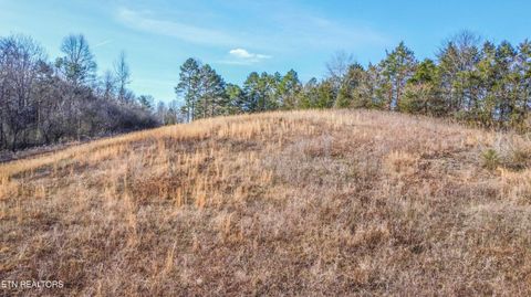 Tiny photo for 259 Sherman Rd, Ten Mile, TN 37880 (MLS # 1331161)