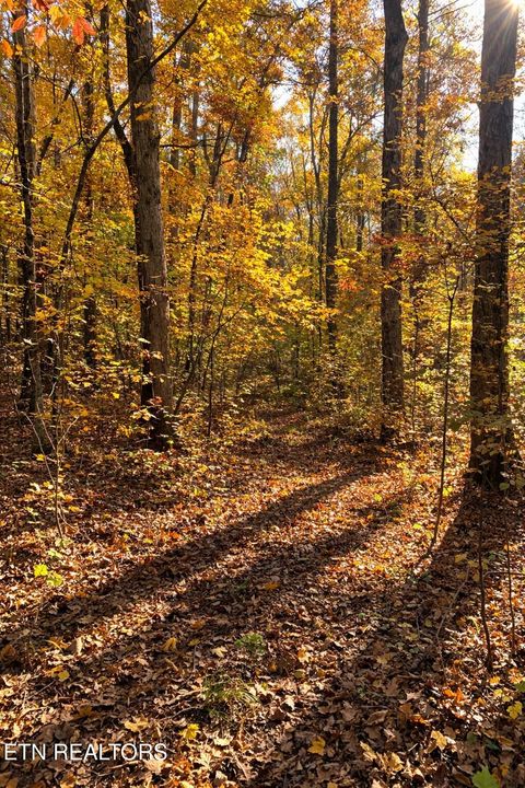 Tiny photo for 259 Sherman Rd, Ten Mile, TN 37880 (MLS # 1331161)