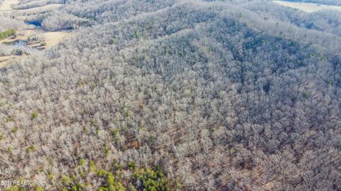 Tiny photo for 259 Sherman Rd, Ten Mile, TN 37880 (MLS # 1331161)
