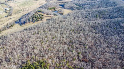 Tiny photo for 259 Sherman Rd, Ten Mile, TN 37880 (MLS # 1331161)