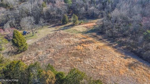 Tiny photo for 259 Sherman Rd, Ten Mile, TN 37880 (MLS # 1331161)