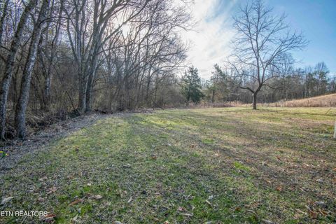 Tiny photo for 259 Sherman Rd, Ten Mile, TN 37880 (MLS # 1331161)