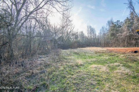 Tiny photo for 259 Sherman Rd, Ten Mile, TN 37880 (MLS # 1331161)