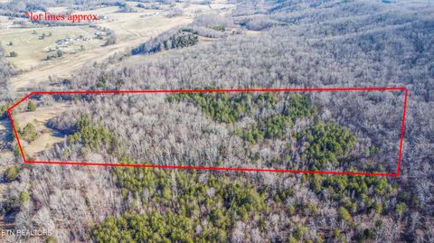 Tiny photo for 259 Sherman Rd, Ten Mile, TN 37880 (MLS # 1331161)