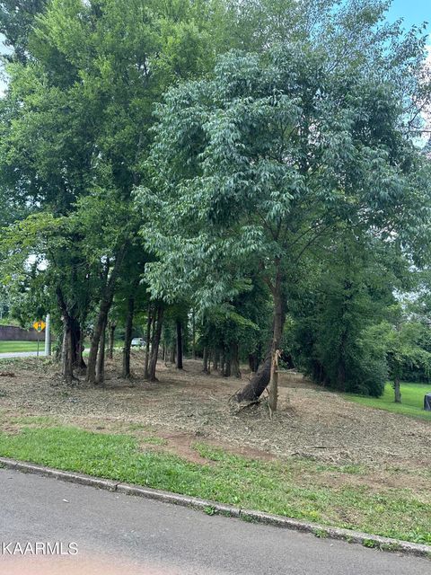 Tiny photo for SW Lot 10 Kingston Court, Knoxville, TN 37919 (MLS # 1196773)