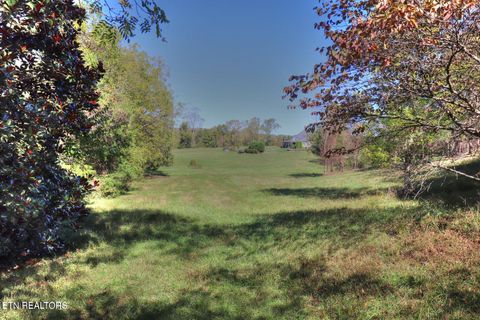 Tiny photo for 567 Russell Brothers Rd, Sharps Chapel, TN 37866 (MLS # 1318563)