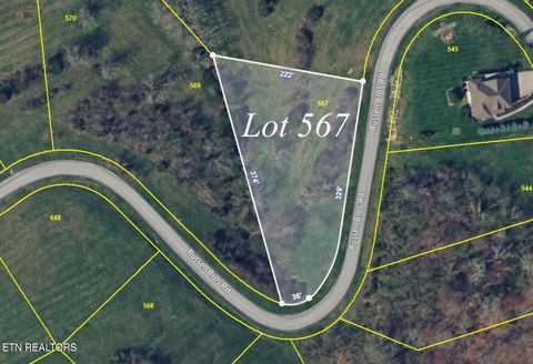 Tiny photo for 567 Russell Brothers Rd, Sharps Chapel, TN 37866 (MLS # 1318563)