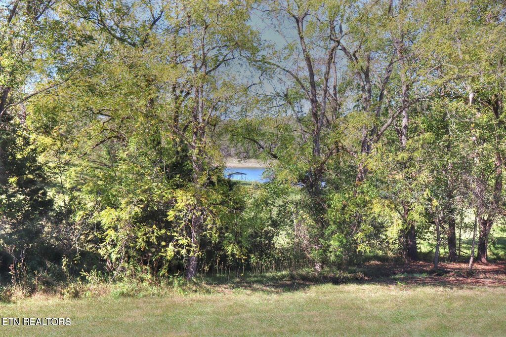 Photo of 567 Russell Brothers Rd, Sharps Chapel, TN 37866 (MLS # 1318563)