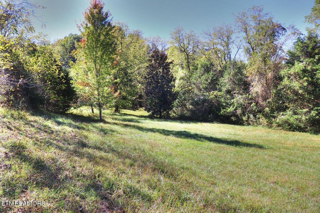 Photo of 567 Russell Brothers Rd, Sharps Chapel, TN 37866 (MLS # 1318563)