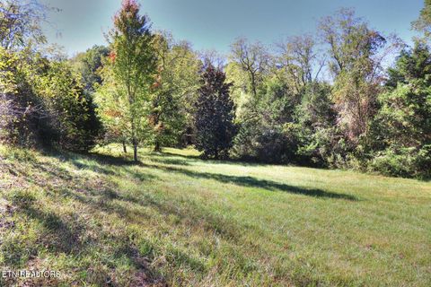 Tiny photo for 567 Russell Brothers Rd, Sharps Chapel, TN 37866 (MLS # 1318563)