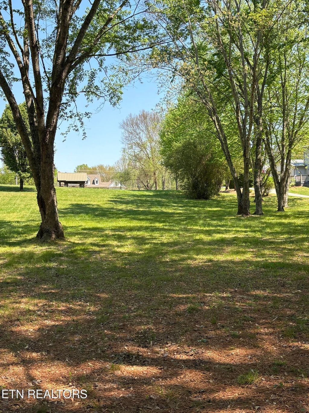 Photo of 278 Savannah Shores Drive, Delano, TN 37325 (MLS # 1335895)