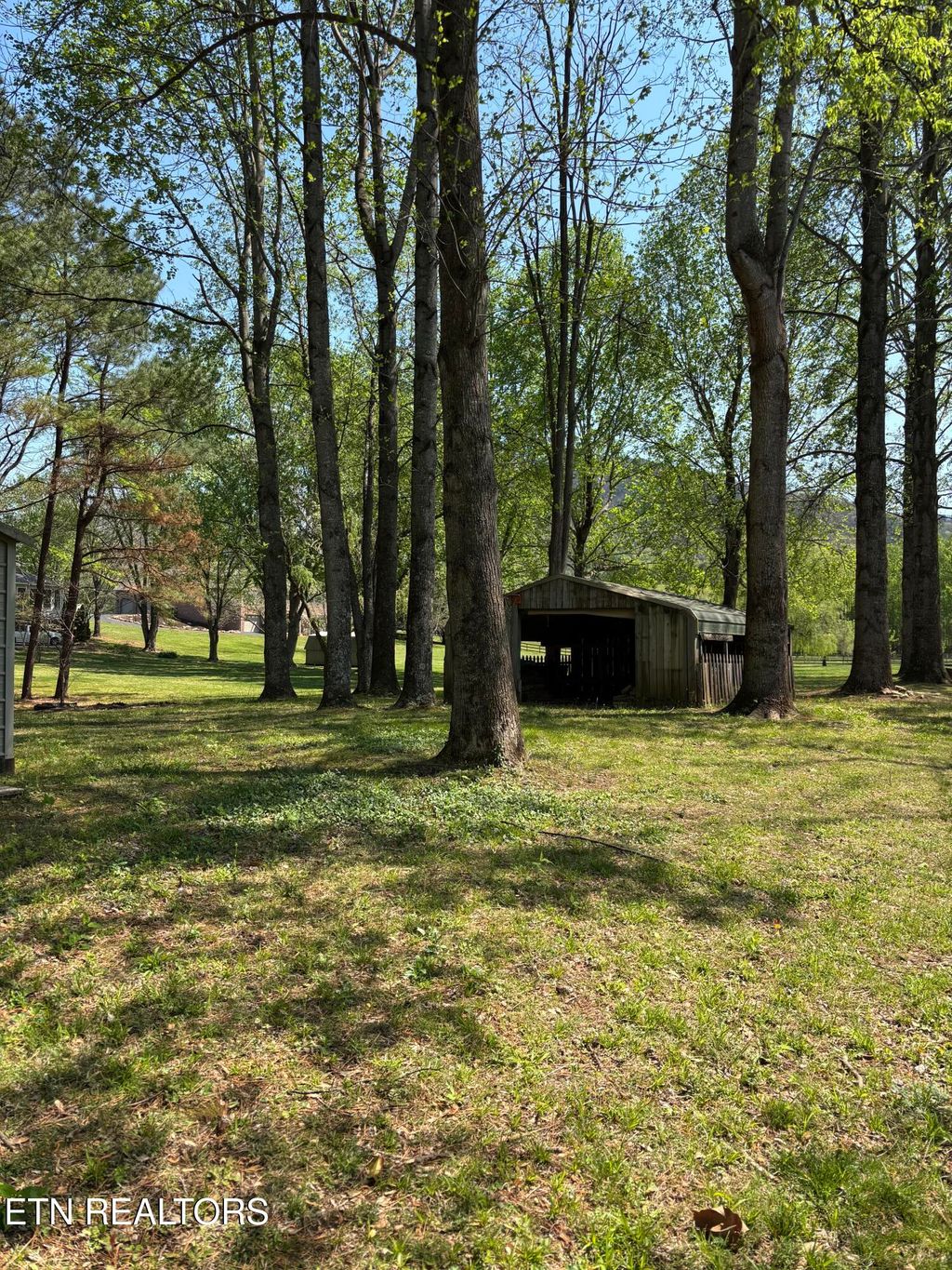 Photo of 278 Savannah Shores Drive, Delano, TN 37325 (MLS # 1335895)