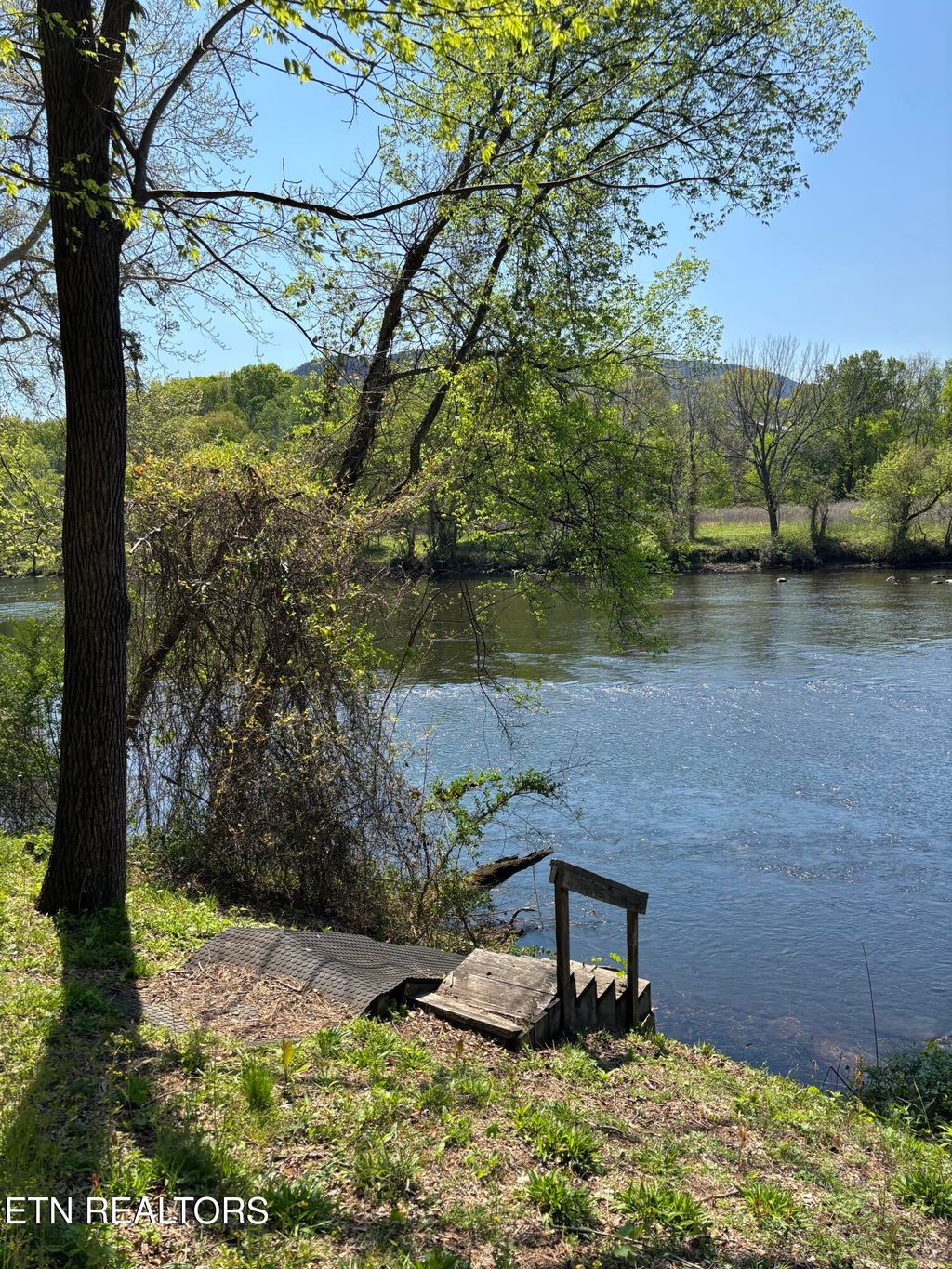 Photo of 278 Savannah Shores Drive, Delano, TN 37325 (MLS # 1335895)