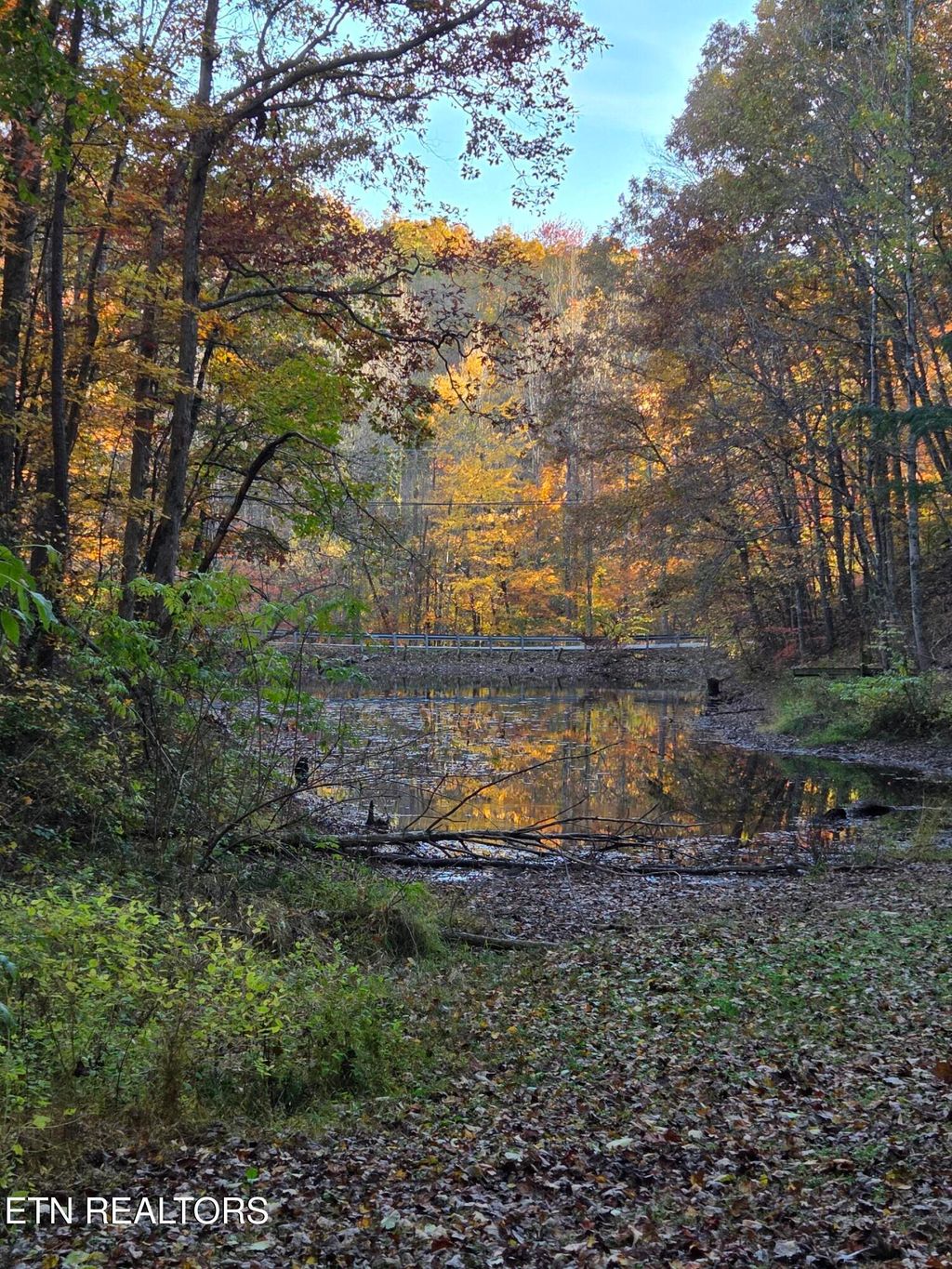 Photo of 168 Pine Tr, Sevierville, TN 37876 (MLS # 1321325)