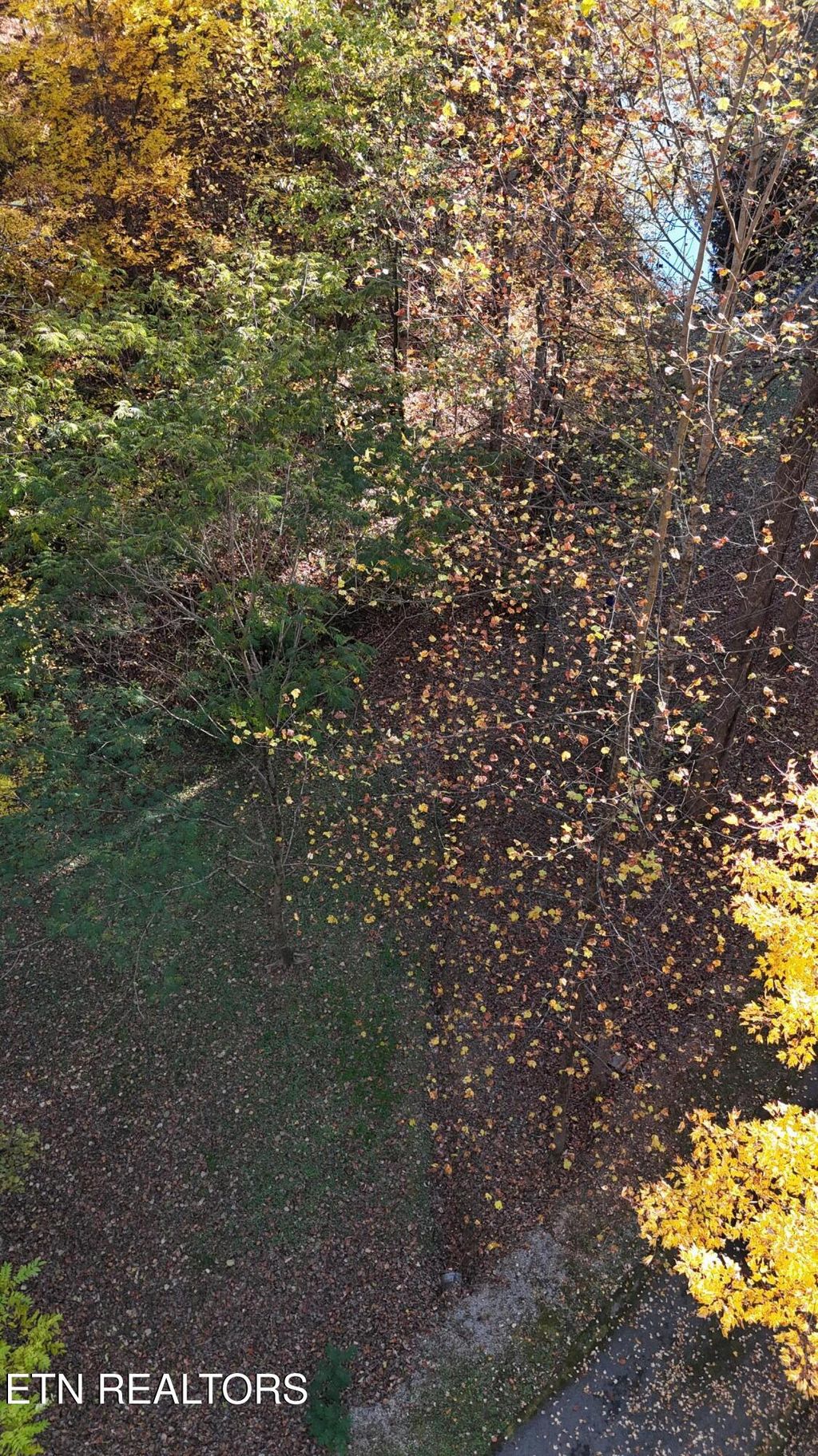 Photo of 168 Pine Tr, Sevierville, TN 37876 (MLS # 1321325)