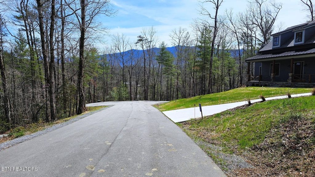 Photo of 328 Beckett Ridge Rd, Townsend, TN 37882 (MLS # 1256893)