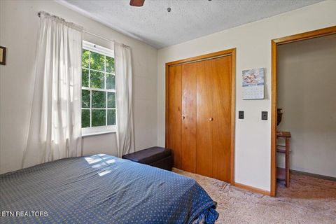 Tiny photo for 2719 Bullen Valley Rd, Thorn Hill, TN 37881 (MLS # 1348565)