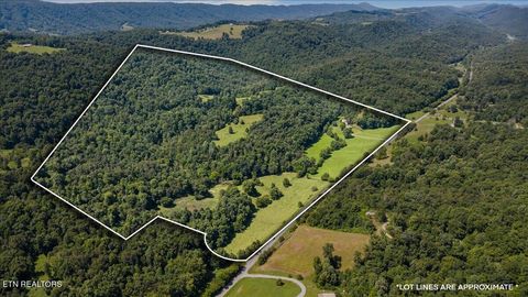 Tiny photo for 2719 Bullen Valley Rd, Thorn Hill, TN 37881 (MLS # 1348565)