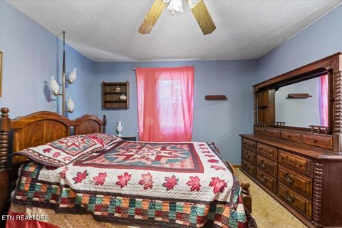Tiny photo for 2719 Bullen Valley Rd, Thorn Hill, TN 37881 (MLS # 1348565)