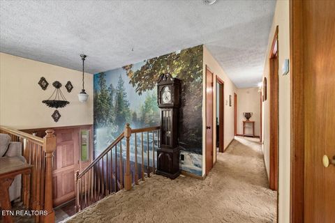 Tiny photo for 2719 Bullen Valley Rd, Thorn Hill, TN 37881 (MLS # 1348565)