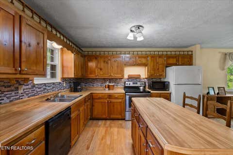 Tiny photo for 2719 Bullen Valley Rd, Thorn Hill, TN 37881 (MLS # 1348565)