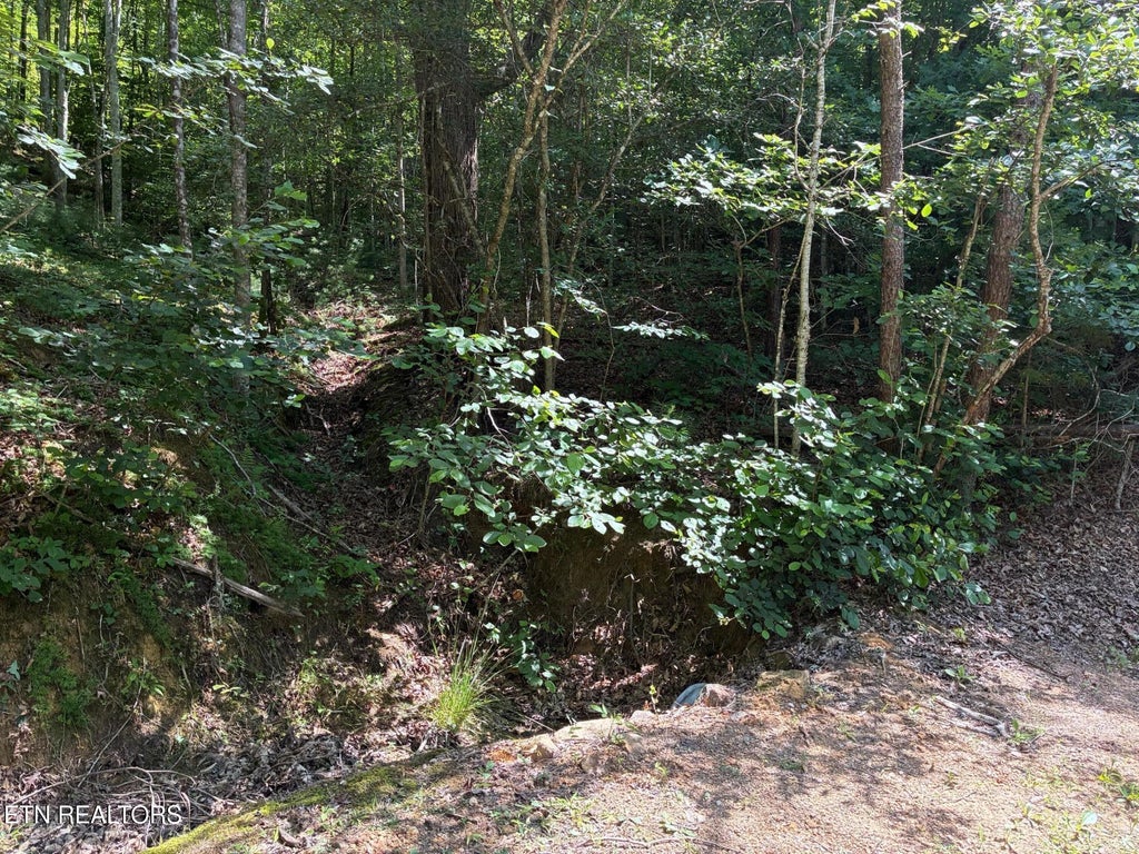Photo of Claude Shields Way, Sevierville, TN 37876 (MLS # 1349456)