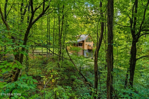 Tiny photo for 3163 Sourwood Way, Sevierville, TN 37862 (MLS # 1360030)