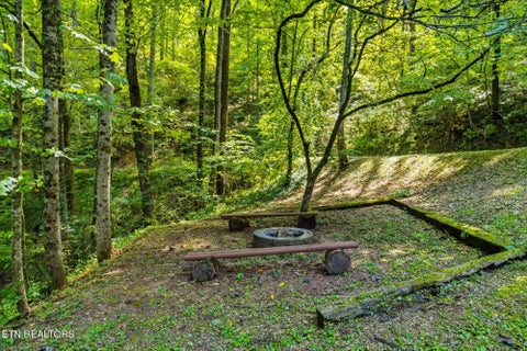 Tiny photo for 3163 Sourwood Way, Sevierville, TN 37862 (MLS # 1360030)