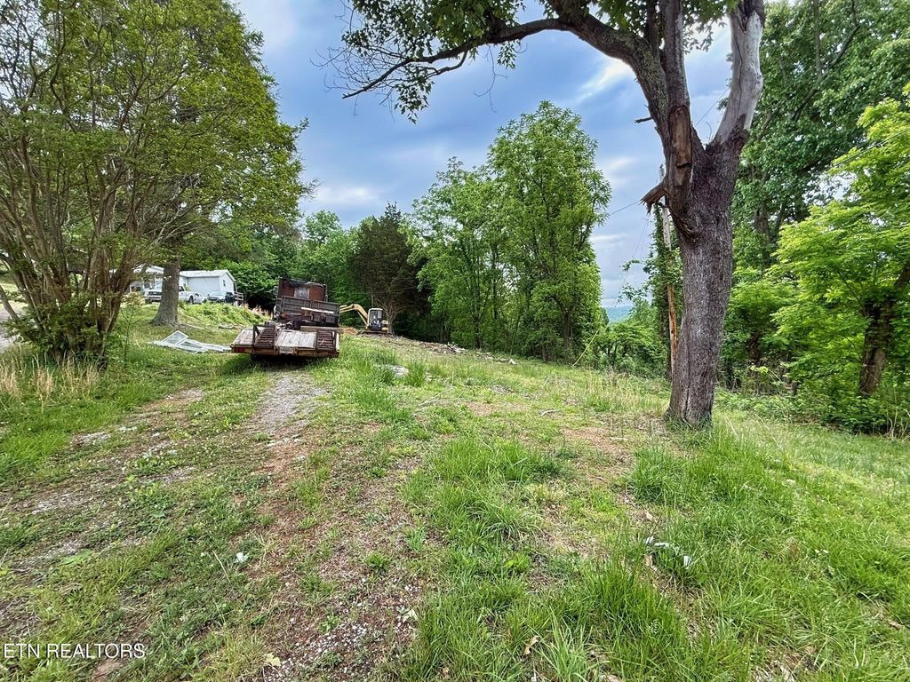 Photo of 1333 Pinecrest Rd, Jacksboro, TN 37757 (MLS # 1338759)
