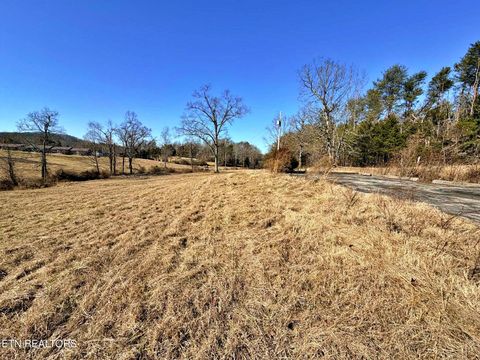 Tiny photo for 1678 Ward Rd, Decatur, TN 37322 (MLS # 1328936)