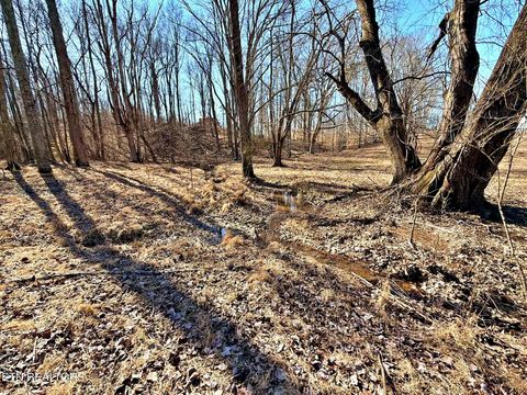 Tiny photo for 1678 Ward Rd, Decatur, TN 37322 (MLS # 1328936)