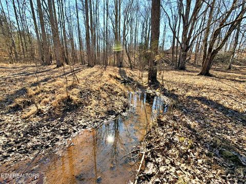 Tiny photo for 1678 Ward Rd, Decatur, TN 37322 (MLS # 1328936)