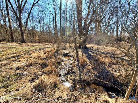 Tiny photo for 1678 Ward Rd, Decatur, TN 37322 (MLS # 1328936)