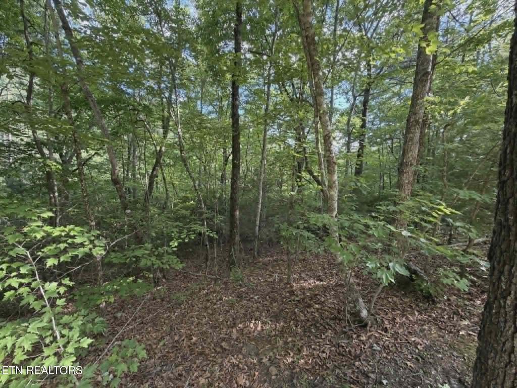 Photo of Fox Hunters Lane, Sevierville, TN 37876 (MLS # 1342597)
