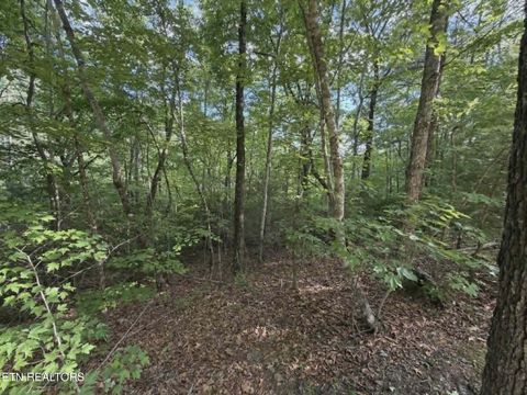Photo of Fox Hunters Lane, Sevierville, TN 37876 (MLS # 1342597)