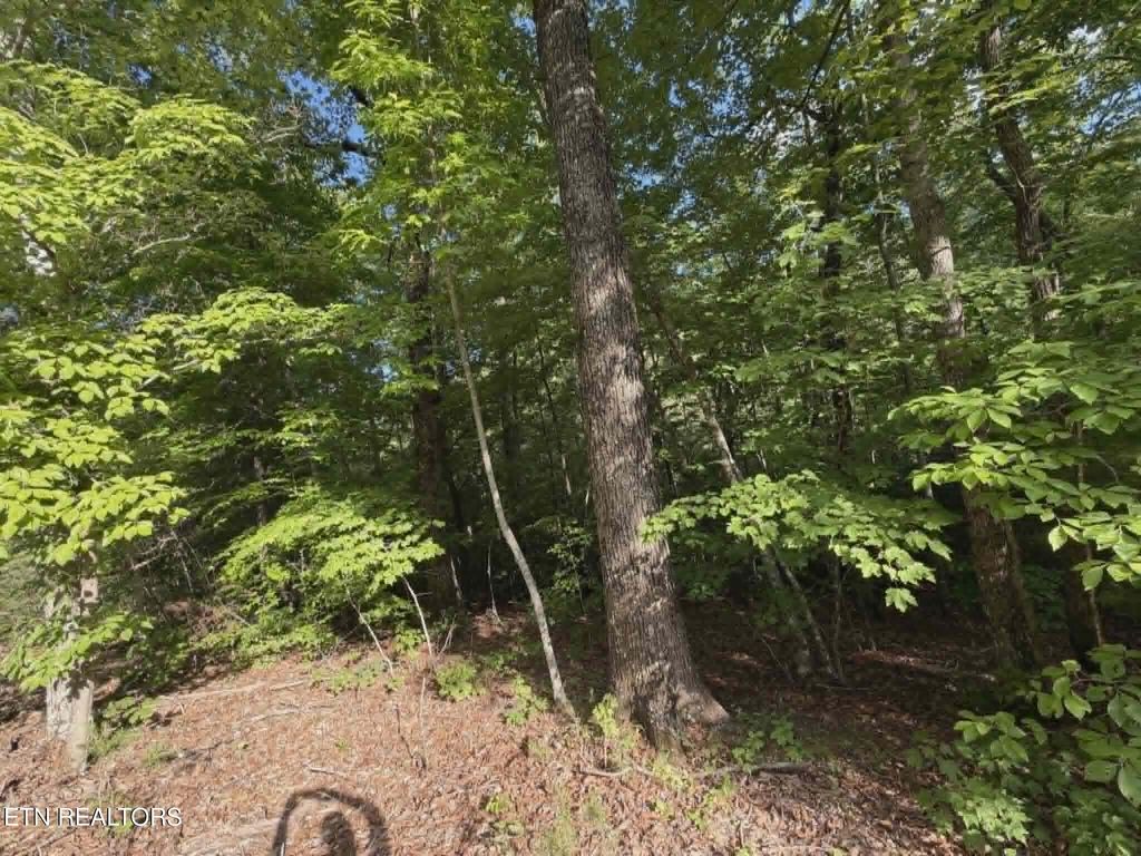 Photo of Fox Hunters Lane, Sevierville, TN 37876 (MLS # 1342597)