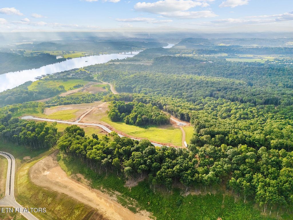 Photo of 3745 Old Dogwood Tr, Loudon, TN 37774 (MLS # 1309839)