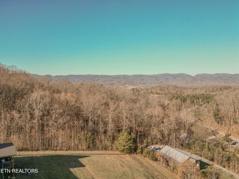Tiny photo for 194 Pleasant Ridge Lane, Bean Station, TN 37708 (MLS # 1316459)