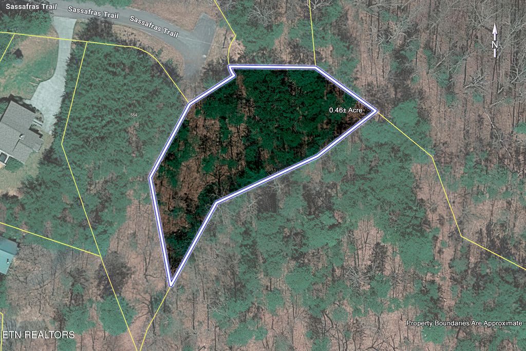 Photo of Sassafras Tr, Sevierville, TN 37876 (MLS # 1340257)