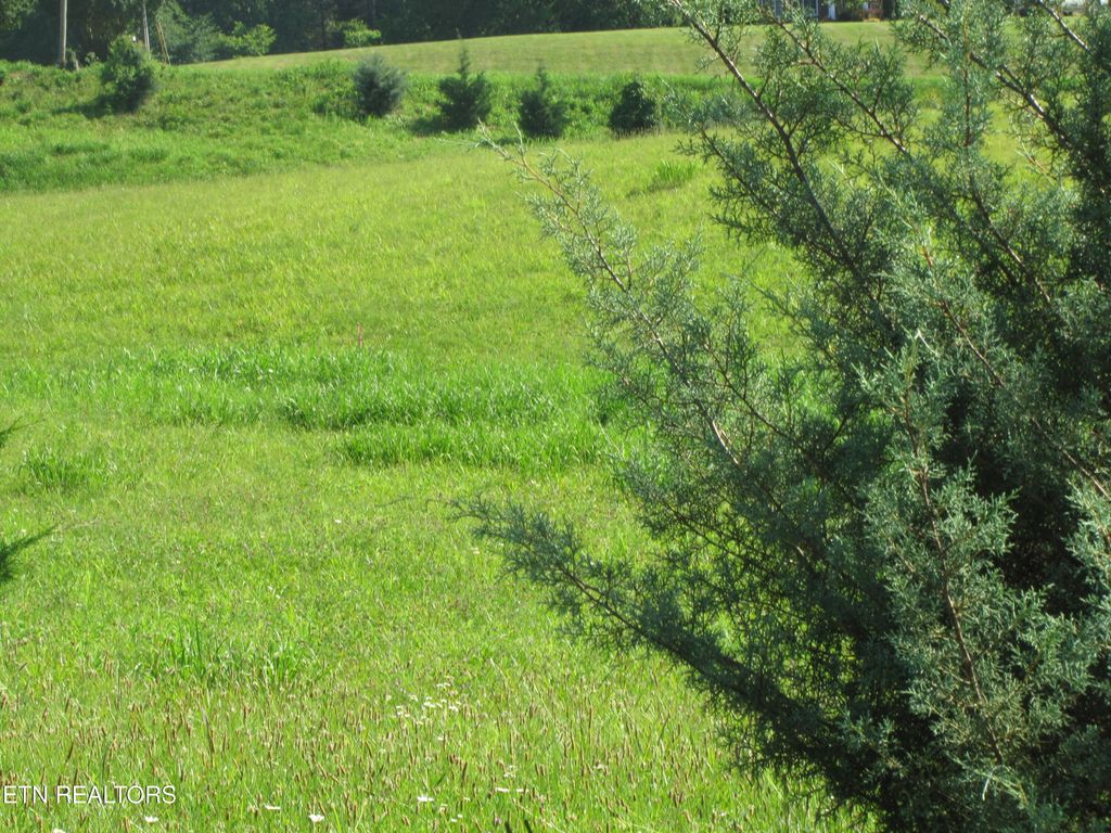 Photo of Edgewood Drive, Sweetwater, TN 37874 (MLS # 1305695)