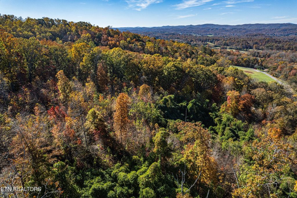 Photo of 247 Mahoney Rd, Oliver Springs, TN 37840 (MLS # 1321105)